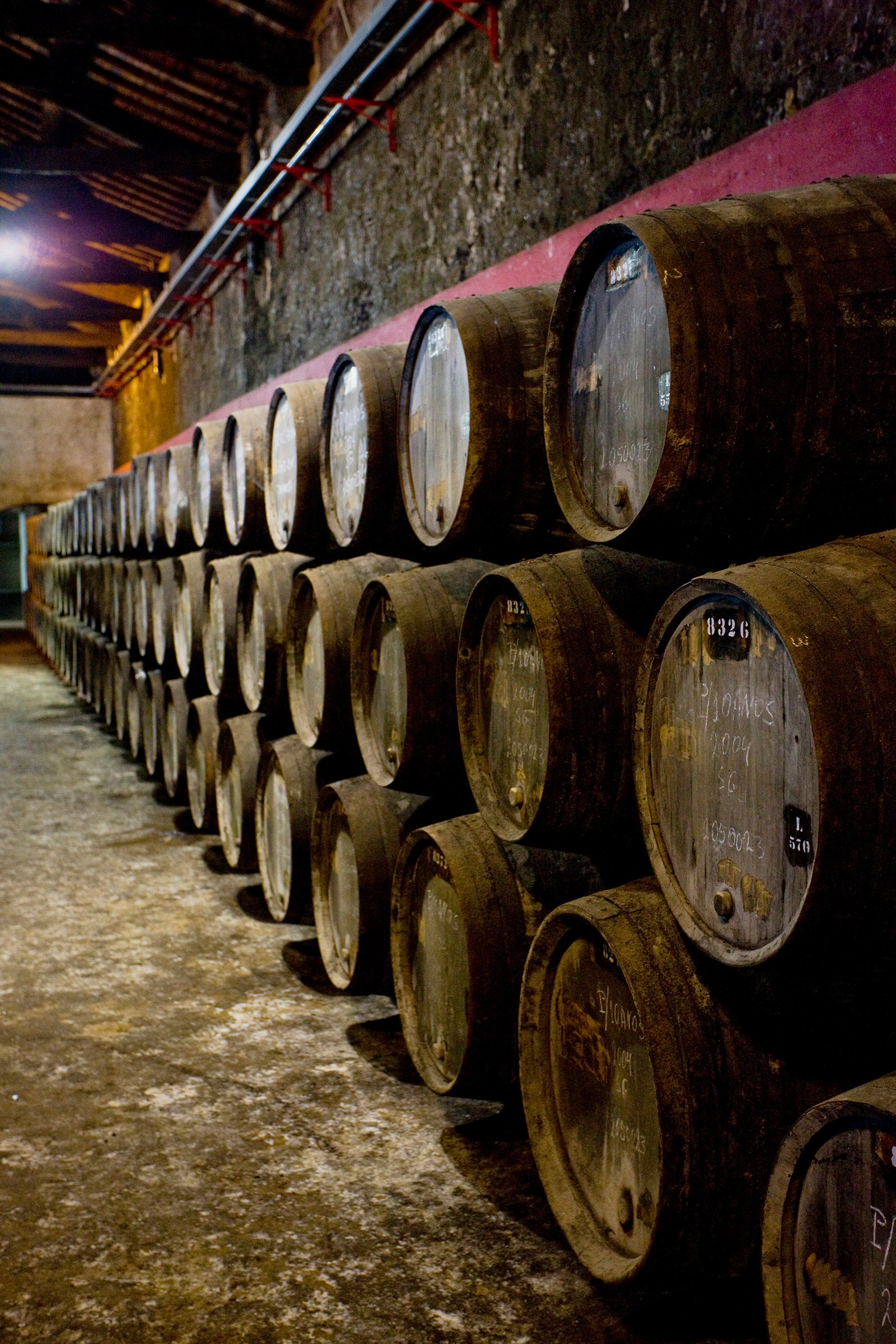 Wine barrels in a winery
