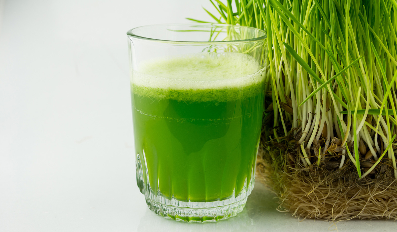 Organic, green wheat-grass juice in a glass.