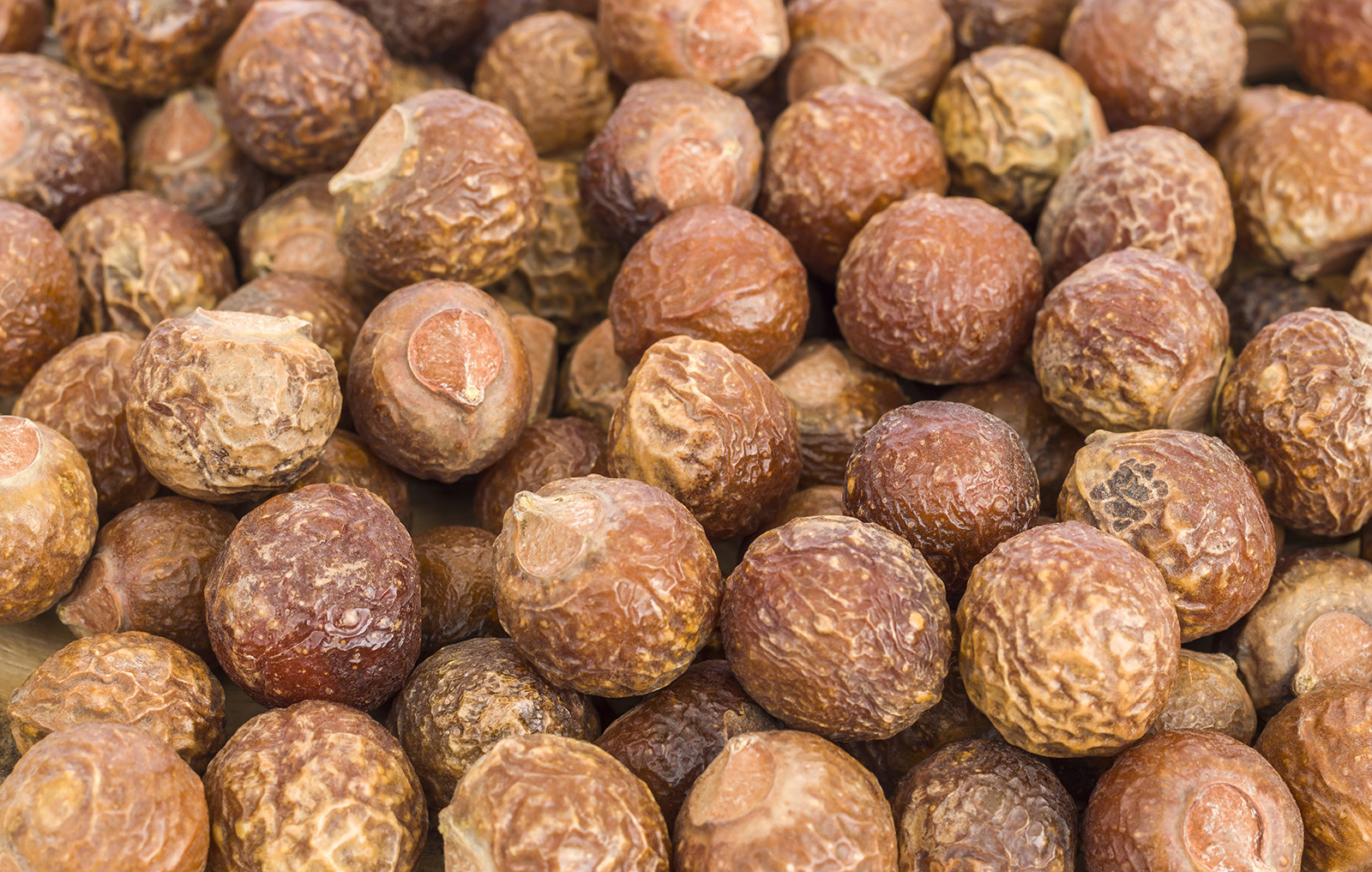 Soap-nuts in a pile (close-up).
