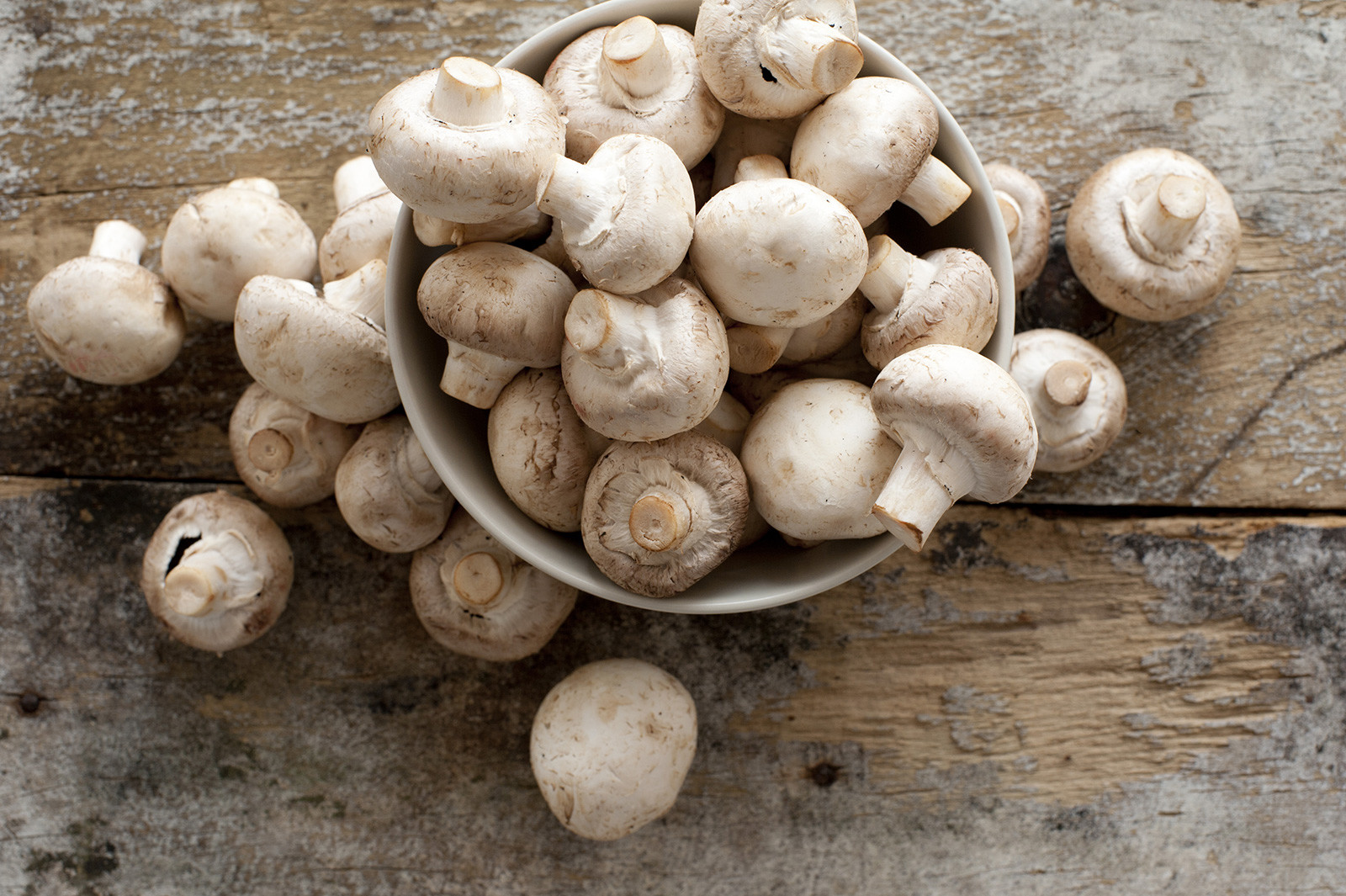 Fresh, whole White Cap mushrooms in a bowl, placed on a rustic wooden table.