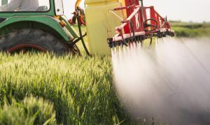 Tractor spraying pesticides on wheat field