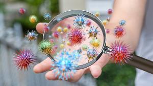 closeup of a variety of viruses magnified on a hand