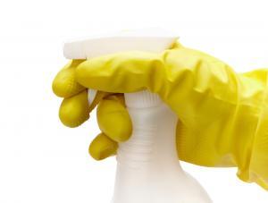 spray bottle with cedar oil and hand with rubber glove