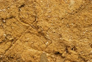 closeup of traditional plaster used in adobe and cob homes