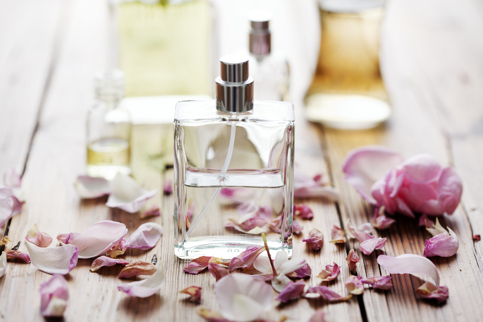 selection of natural perfume bottles surrounded by flower petals