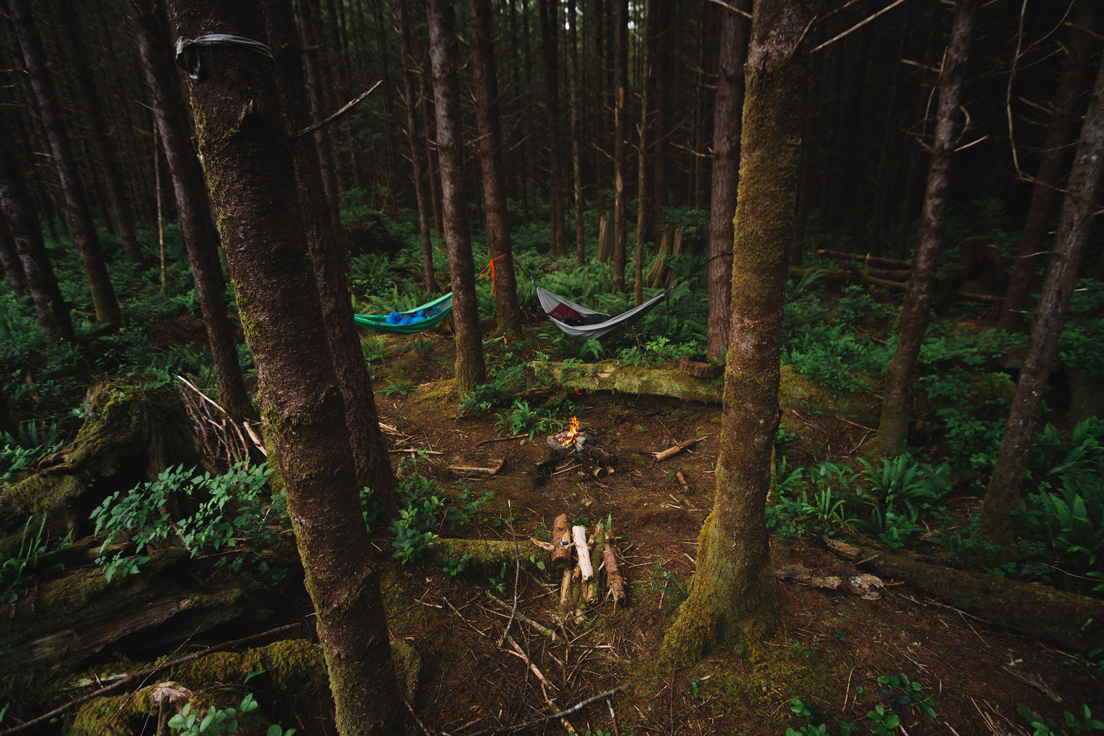 Hammocks in the forest