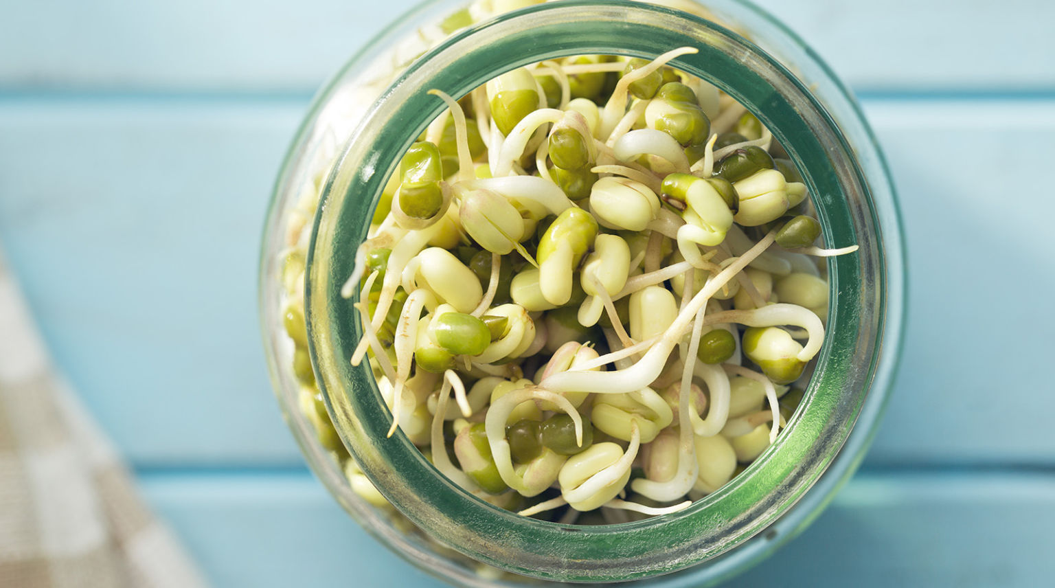 Sprout This Sprouting Superfoods for Life