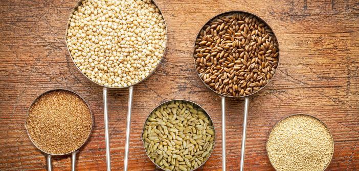 5 quinoa alternatives - other healthy grains; Teff, Sorghum, Kamut (Khorasan), Spelt and Amaranth.