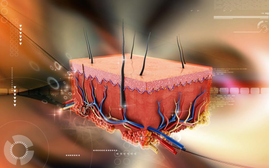 How To Avoid Toxic Chemicals In Your Beauty Products