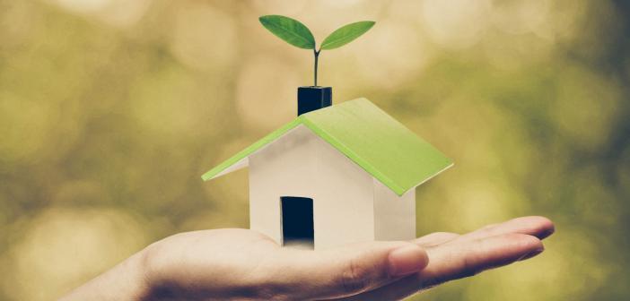 Hand holding a small green house with a young green plant growing on the roof