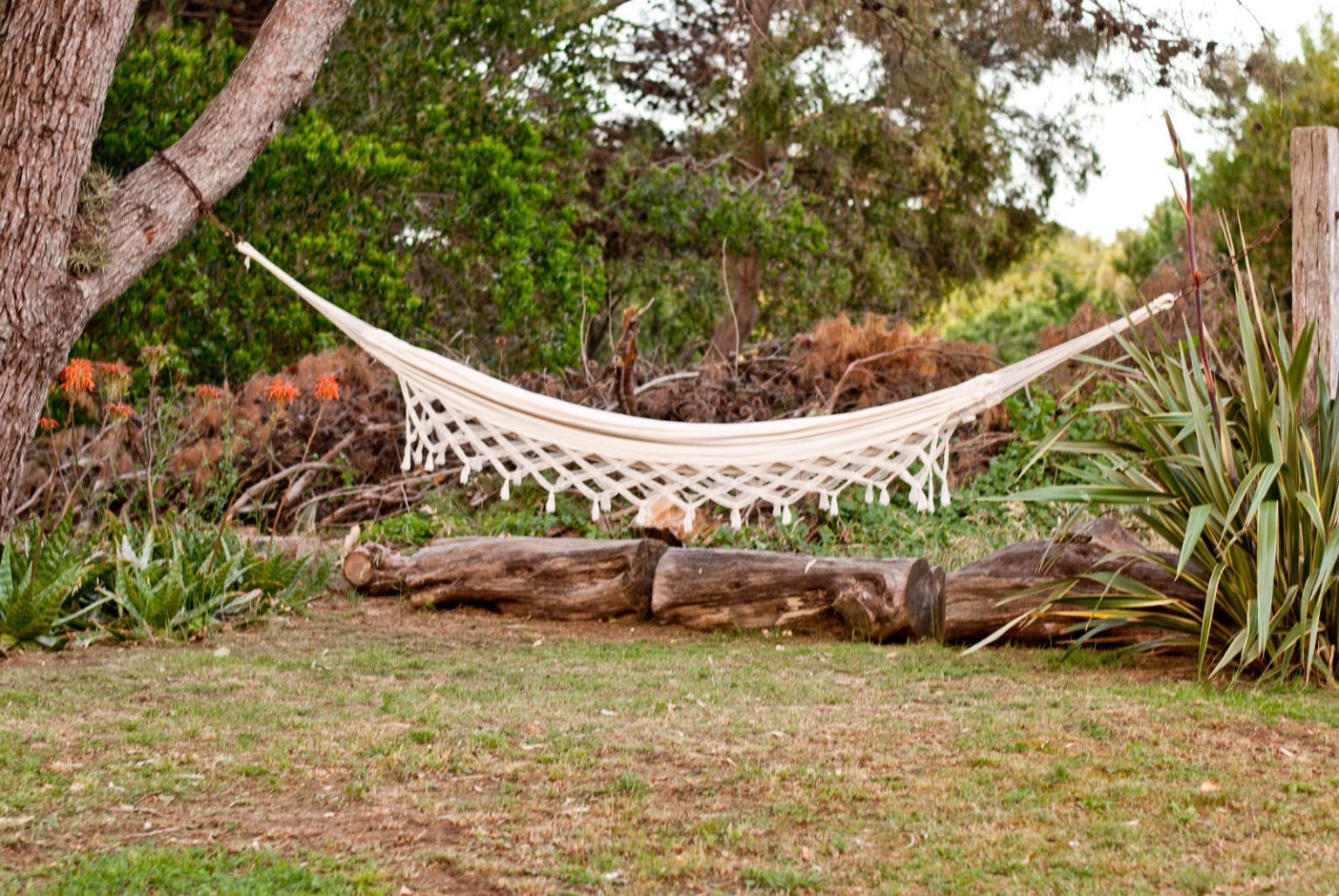 Hammock Sleeping 7 Reasons You Should Ditch Your Bed For a Hammock