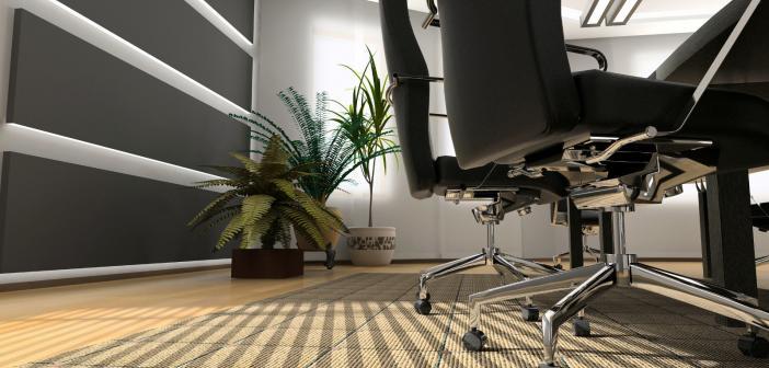 two chairs and a plant in an office