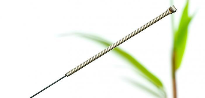 closeup of acupuncture needle