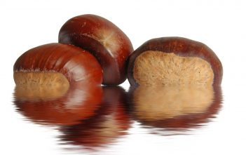 soaking chestnuts in water