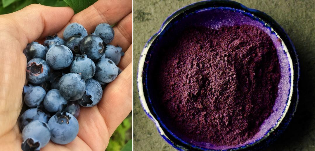Everything You Need to Know About Blueberry Powder Today (And How it