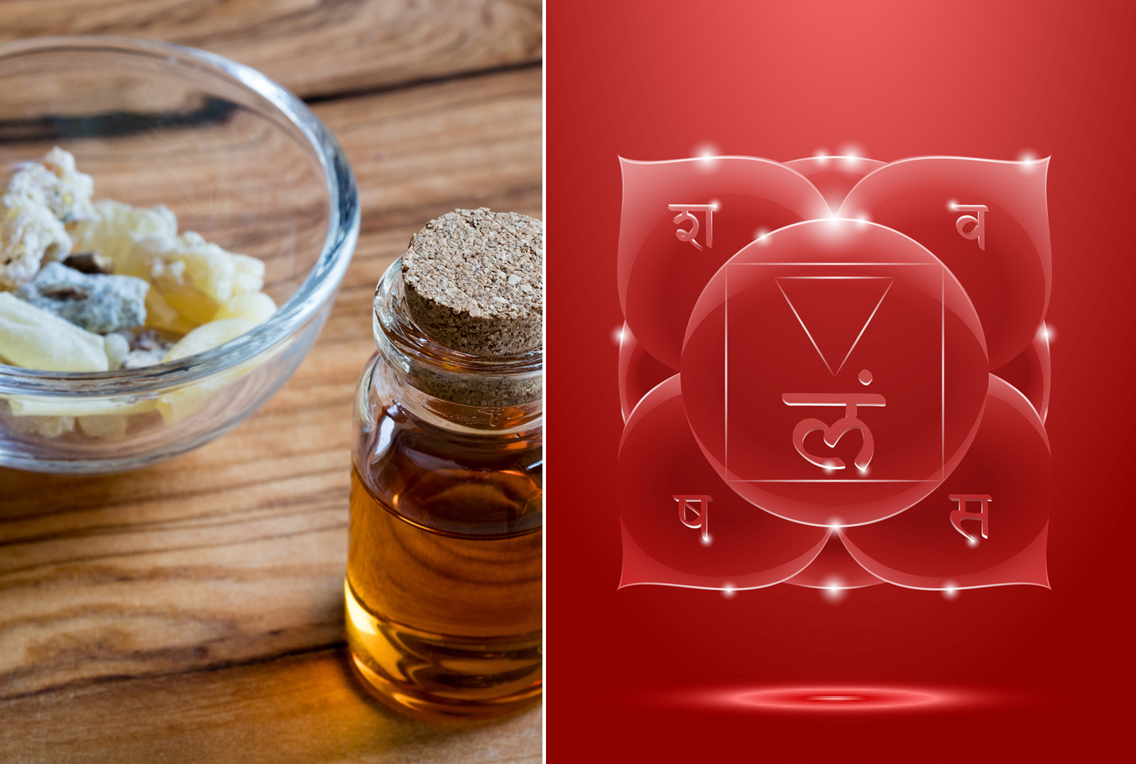 16 Best Essential Oils for the Root Chakra - Naturalcave.com