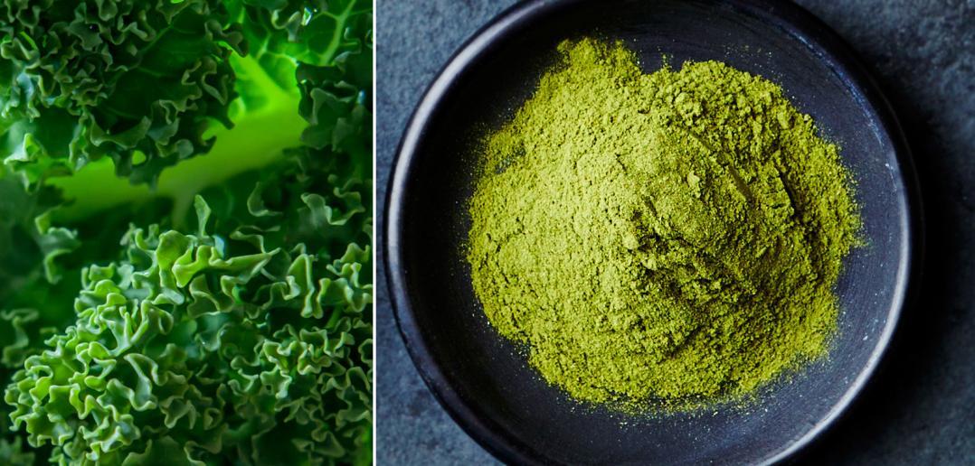 7+ Reasons You Should Add Kale Powder to Your Diet + 8 Ways to Use It