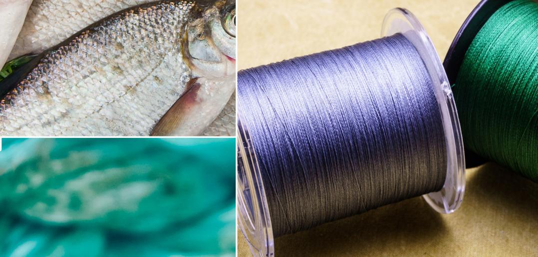 Top 12 Best Braided Fishing Lines (+ What to Know Before Buying