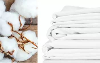 Organic cotton sheets