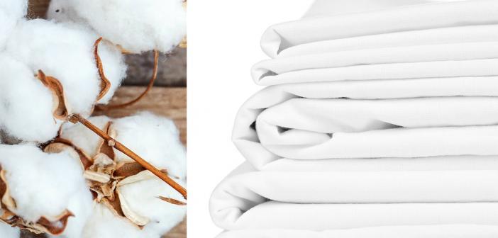 Organic cotton sheets