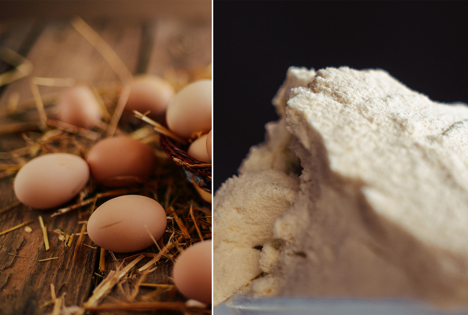 everything-you-need-to-know-before-buying-egg-white-protein-powder